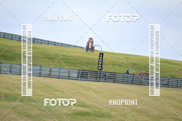 Buy your photos of the eventGalera do Pace Velo Citt Run  on Fotop