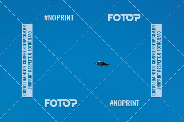 Buy your photos of the eventMARATONINHAS - CORRIDAS INFANTIS on Fotop