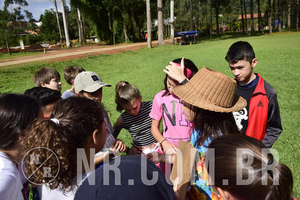 Buy your photos of the eventNR1 - English & Action - 28 a 01/05/19 on Fotop