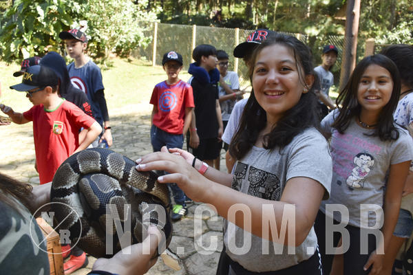 Buy your photos of the eventNR1 - English & Action - 28 a 01/05/19 on Fotop