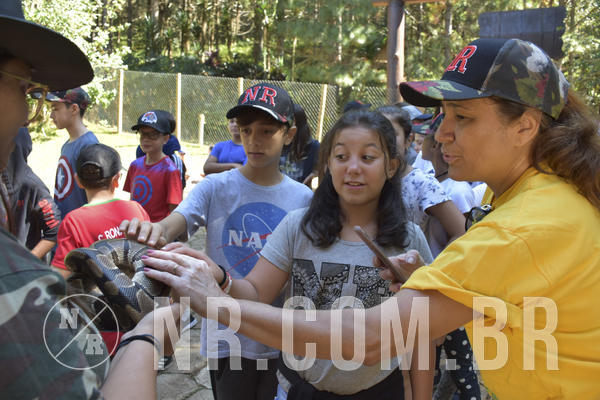 Buy your photos of the eventNR1 - English & Action - 28 a 01/05/19 on Fotop