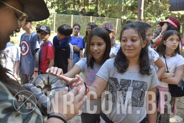 Buy your photos of the eventNR1 - English & Action - 28 a 01/05/19 on Fotop