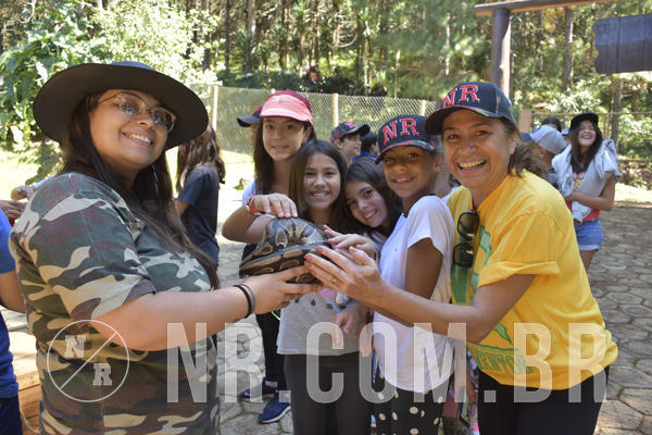 Buy your photos of the eventNR1 - English & Action - 28 a 01/05/19 on Fotop