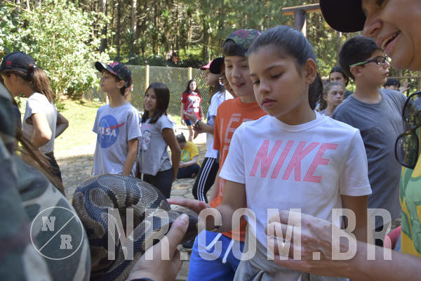 Buy your photos of the eventNR1 - English & Action - 28 a 01/05/19 on Fotop