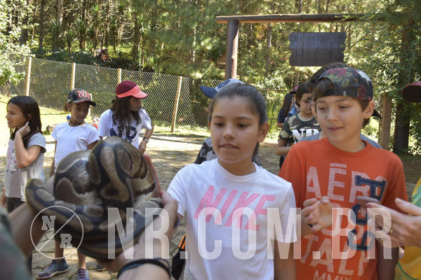 Buy your photos of the eventNR1 - English & Action - 28 a 01/05/19 on Fotop