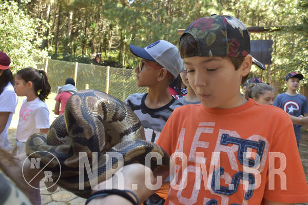 Buy your photos of the eventNR1 - English & Action - 28 a 01/05/19 on Fotop