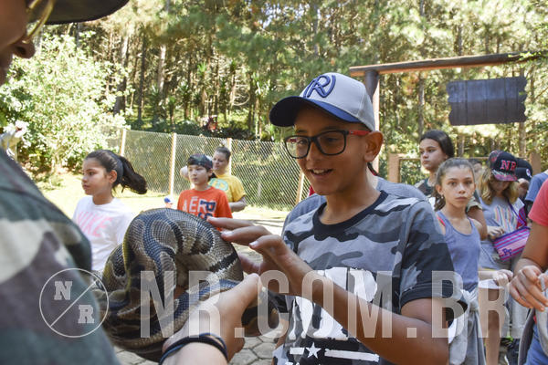 Buy your photos of the eventNR1 - English & Action - 28 a 01/05/19 on Fotop