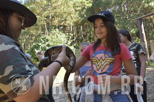 Buy your photos of the eventNR1 - English & Action - 28 a 01/05/19 on Fotop