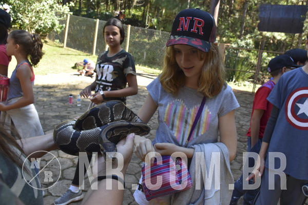 Buy your photos of the eventNR1 - English & Action - 28 a 01/05/19 on Fotop