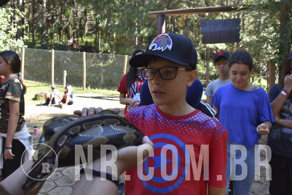 Buy your photos of the eventNR1 - English & Action - 28 a 01/05/19 on Fotop