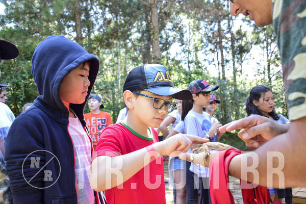 Buy your photos of the eventNR1 - English & Action - 28 a 01/05/19 on Fotop