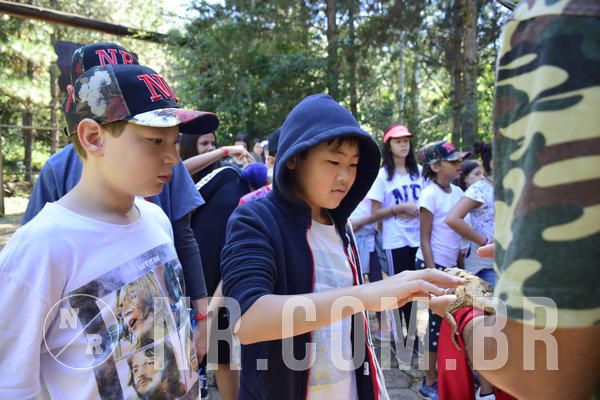 Buy your photos of the eventNR1 - English & Action - 28 a 01/05/19 on Fotop