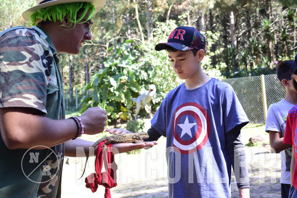 Buy your photos of the eventNR1 - English & Action - 28 a 01/05/19 on Fotop