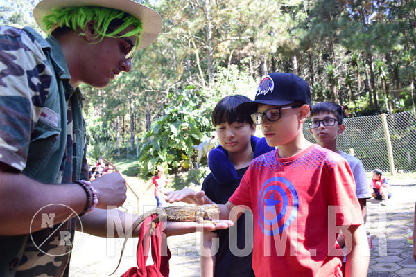 Buy your photos of the eventNR1 - English & Action - 28 a 01/05/19 on Fotop