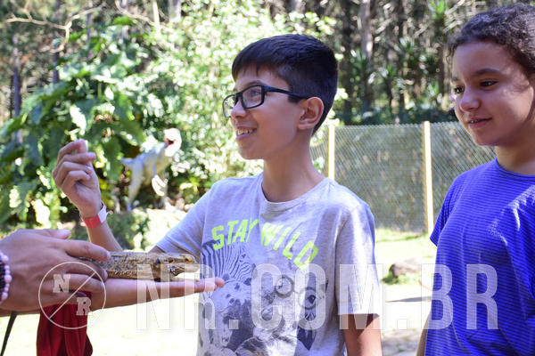 Buy your photos of the eventNR1 - English & Action - 28 a 01/05/19 on Fotop