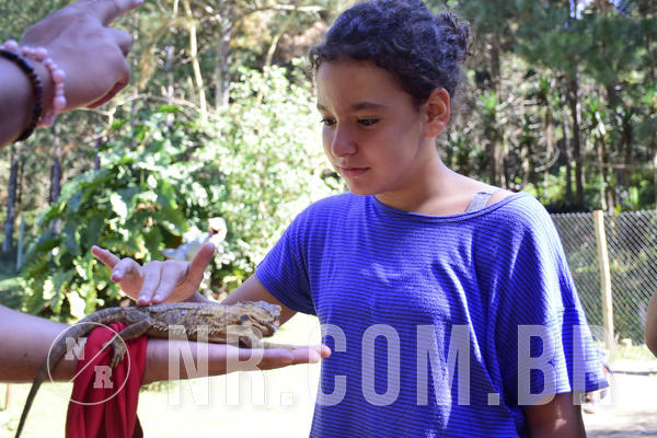 Buy your photos of the eventNR1 - English & Action - 28 a 01/05/19 on Fotop