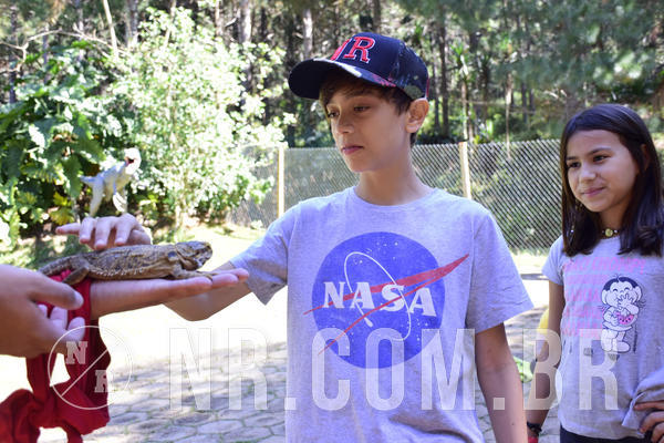 Buy your photos of the eventNR1 - English & Action - 28 a 01/05/19 on Fotop