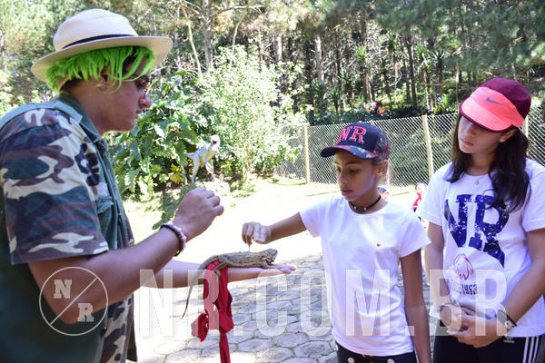 Buy your photos of the eventNR1 - English & Action - 28 a 01/05/19 on Fotop