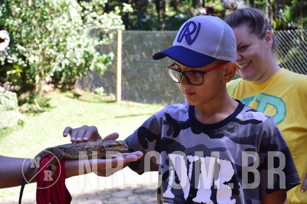 Buy your photos of the eventNR1 - English & Action - 28 a 01/05/19 on Fotop