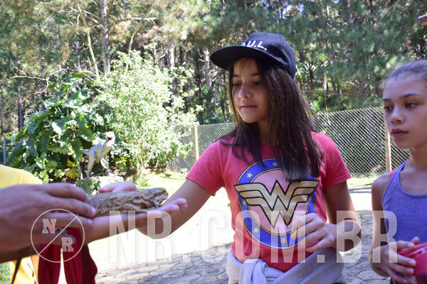 Buy your photos of the eventNR1 - English & Action - 28 a 01/05/19 on Fotop