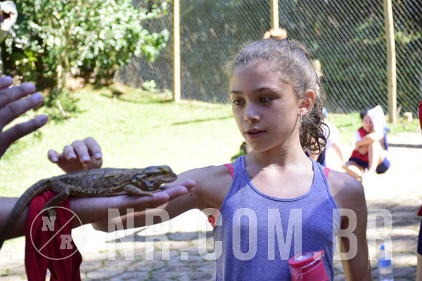 Buy your photos of the eventNR1 - English & Action - 28 a 01/05/19 on Fotop