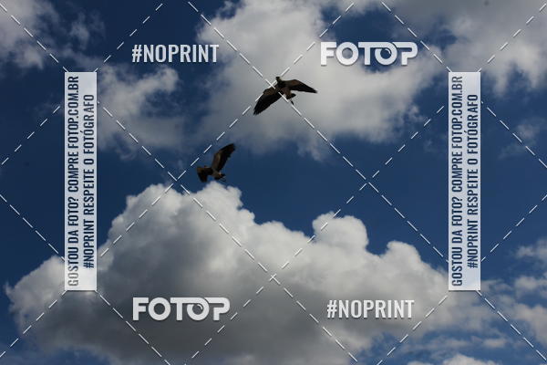 Buy your photos of the eventPedal de ferro on Fotop