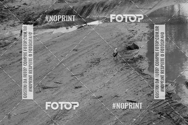 Buy your photos of the eventPedal de ferro on Fotop