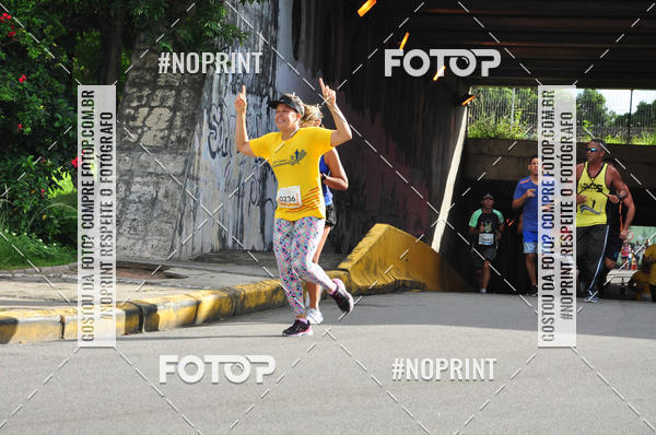 Buy your photos of the event43 CORRIDA DOS GUARARAPES on Fotop