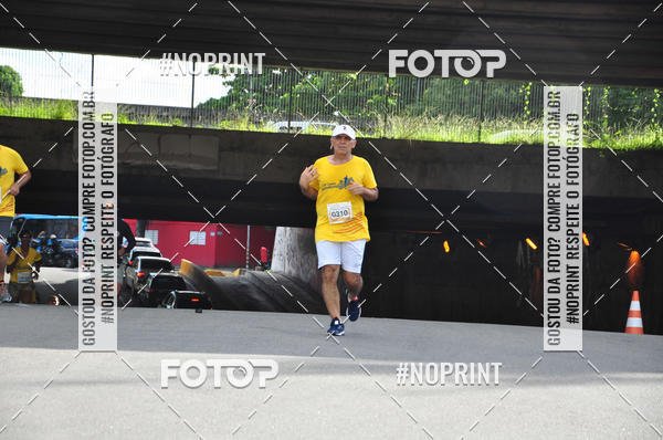 Acquista le foto dell'evento43 CORRIDA DOS GUARARAPES in Fotop