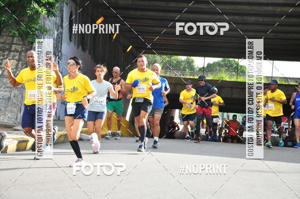 Acquista le foto dell'evento43 CORRIDA DOS GUARARAPES in Fotop