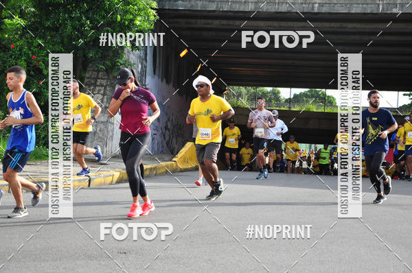 Buy your photos of the event43 CORRIDA DOS GUARARAPES on Fotop