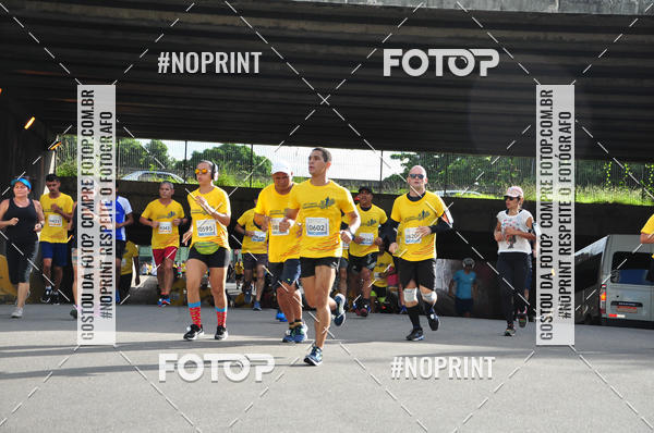 Buy your photos of the event43 CORRIDA DOS GUARARAPES on Fotop