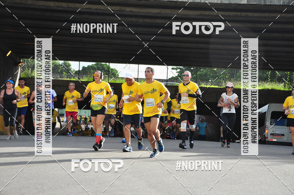 Buy your photos of the event43 CORRIDA DOS GUARARAPES on Fotop