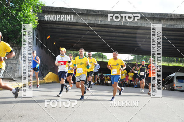 Buy your photos of the event43 CORRIDA DOS GUARARAPES on Fotop