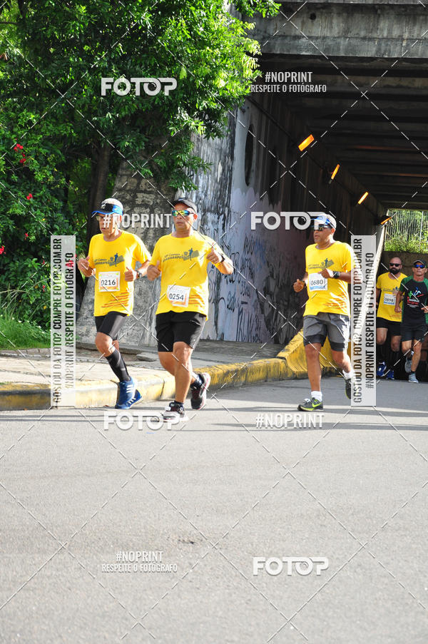 Buy your photos of the event43 CORRIDA DOS GUARARAPES on Fotop