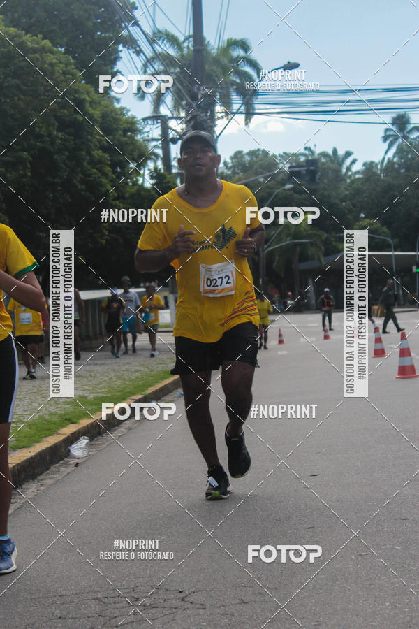 Buy your photos of the event43 CORRIDA DOS GUARARAPES on Fotop