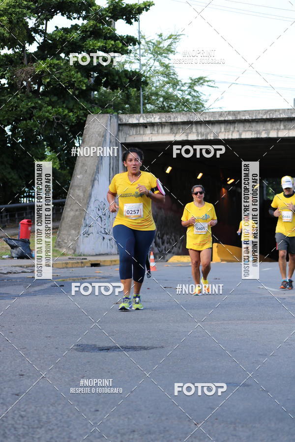 Buy your photos of the event43 CORRIDA DOS GUARARAPES on Fotop