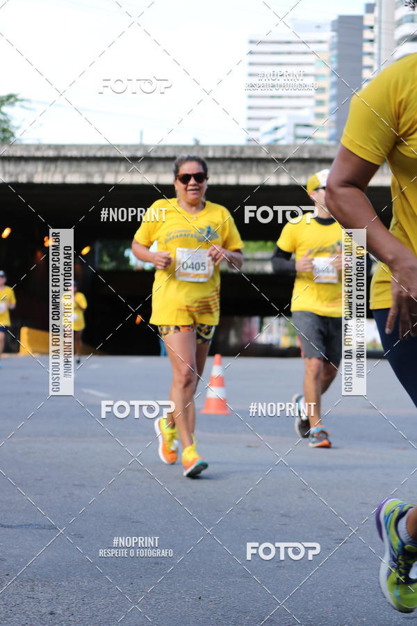 Buy your photos of the event43 CORRIDA DOS GUARARAPES on Fotop
