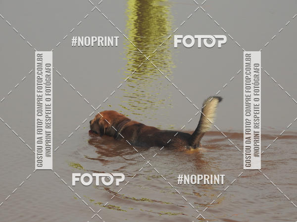 Acquista le foto dell'eventoRecorde Mundial de Paramotor em Itanham in Fotop