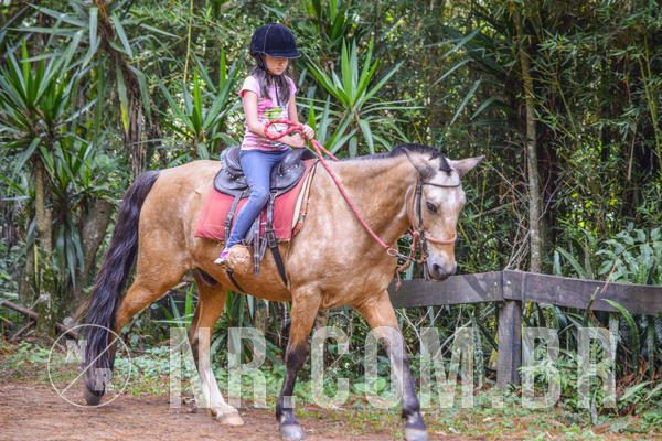 Buy your photos of the eventNR1 - Cl�ssico 03 a 05/05/19 on Fotop