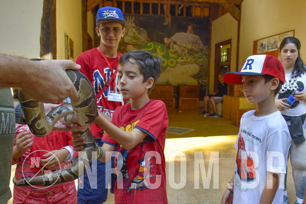 Buy your photos of the eventNR1 - Cl�ssico 03 a 05/05/19 on Fotop