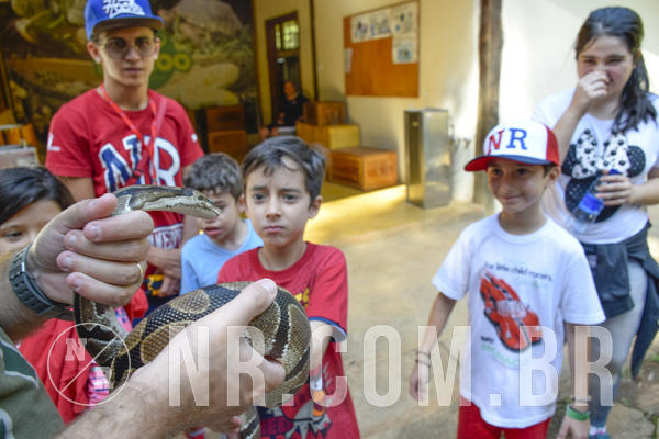 Buy your photos of the eventNR1 - Cl�ssico 03 a 05/05/19 on Fotop