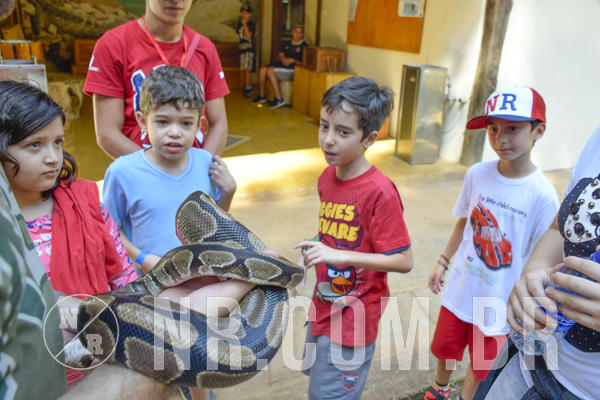 Buy your photos of the eventNR1 - Cl�ssico 03 a 05/05/19 on Fotop