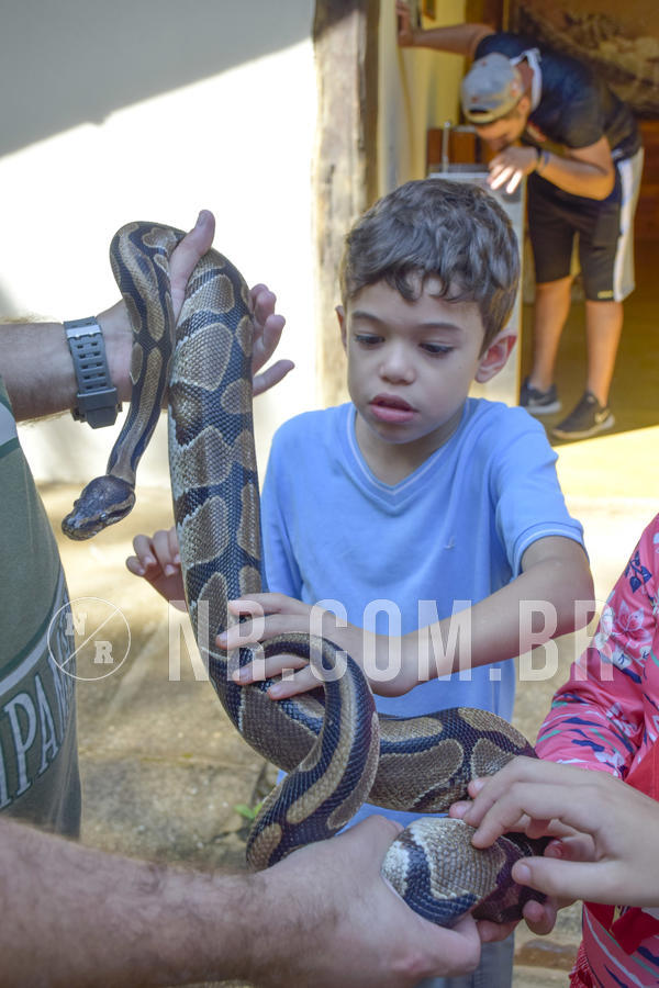 Buy your photos of the eventNR1 - Cl�ssico 03 a 05/05/19 on Fotop