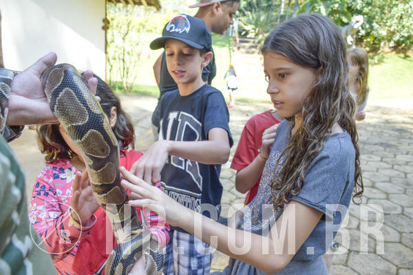 Buy your photos of the eventNR1 - Cl�ssico 03 a 05/05/19 on Fotop