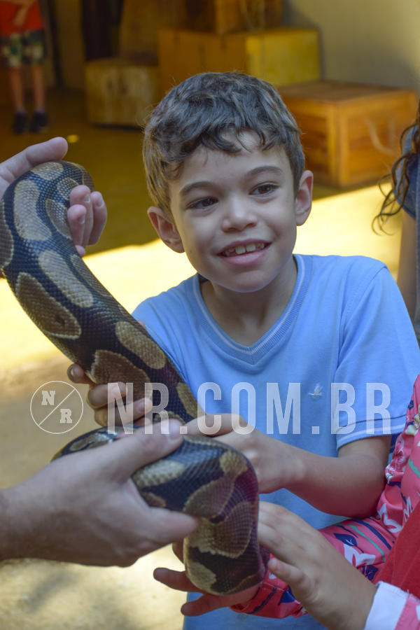 Buy your photos of the eventNR1 - Cl�ssico 03 a 05/05/19 on Fotop