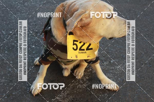 Buy your photos of the eventCorrida da Infantaria 2019 on Fotop