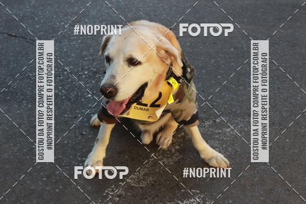 Buy your photos of the eventCorrida da Infantaria 2019 on Fotop