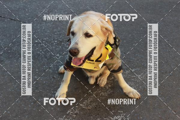 Buy your photos of the eventCorrida da Infantaria 2019 on Fotop