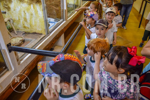 Buy your photos of the eventNR1 Day Camp 06/05/19 on Fotop